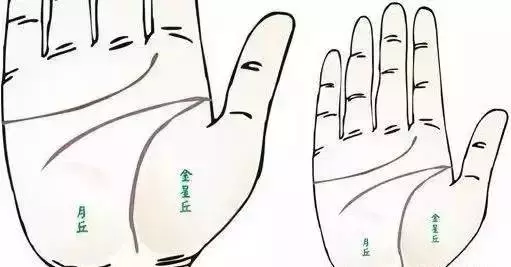 做自己的醫生:24種身心問題的手診圖解,收了吧!