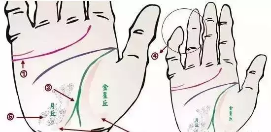 做自己的醫生:24種身心問題的手診圖解,收了吧!