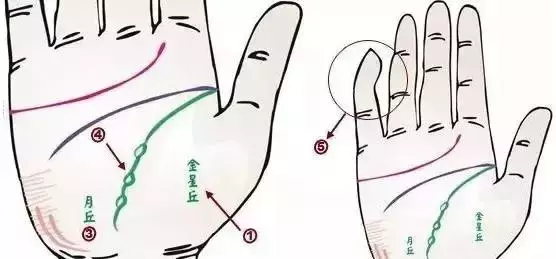 做自己的醫生:24種身心問題的手診圖解,收了吧!