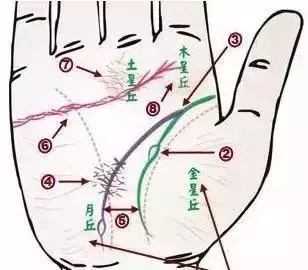 做自己的醫生:24種身心問題的手診圖解,收了吧!