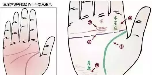 做自己的醫生:24種身心問題的手診圖解,收了吧!