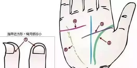 做自己的醫生:24種身心問題的手診圖解,收了吧!