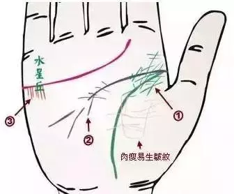 做自己的醫生:24種身心問題的手診圖解,收了吧!