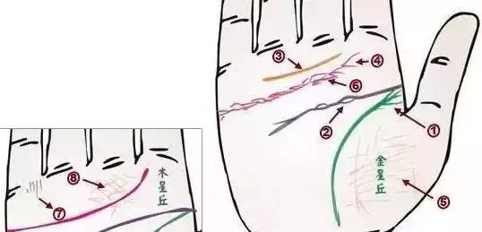 做自己的醫生:24種身心問題的手診圖解,收了吧!