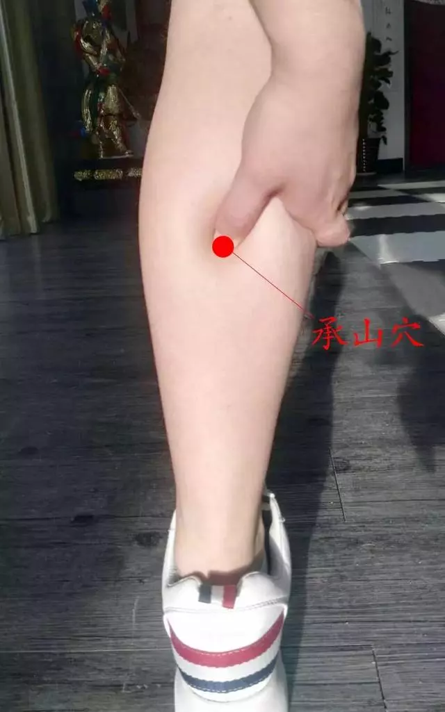 濕重是標,脾虛是本!祛濕補脾的3種方法送給您