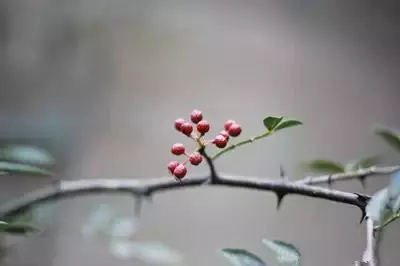 少吃調料是錯的!這「9種調料」竟然是長壽高手!!以前都浪費了,一定要告訴爸媽多吃!