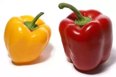 少吃調料是錯的!這「9種調料」竟然是長壽高手!!以前都浪費了,一定要告訴爸媽多吃!