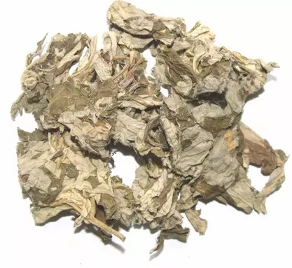 速傳!屋裡放一物,全家人「不再生病」!這「救命神草」不是叫假的!可惜90%的人都不知道...