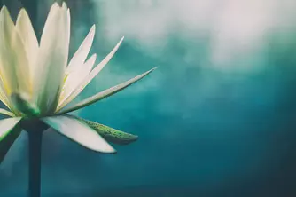 優酪乳這樣喝竟然就能狂瘦20斤!! 趁現在把肥油都甩了吧!! 我要趕緊收藏~