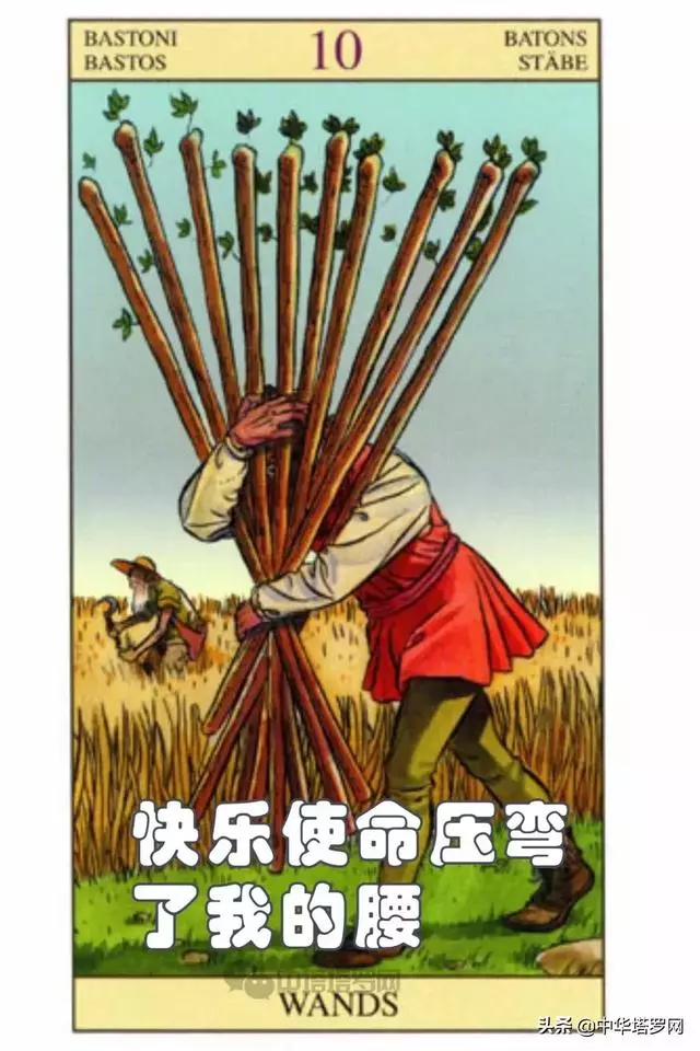 絕密!不能被十二星座看到的一份評價!
