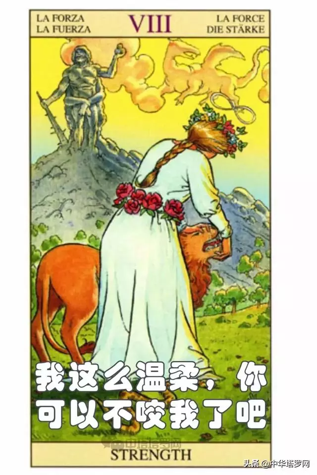 絕密!不能被十二星座看到的一份評價!