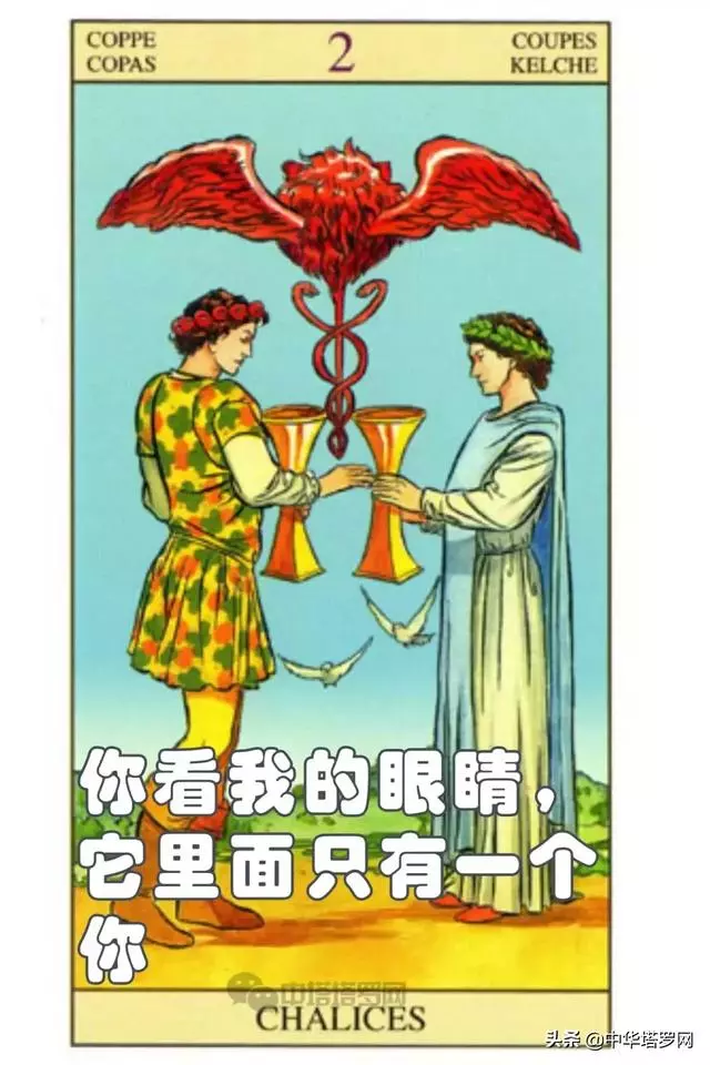 絕密!不能被十二星座看到的一份評價!