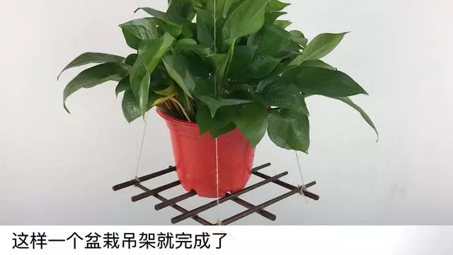 舊筷子別再扔掉了,綁根繩子掛陽台,一年能省下不少錢,快試試