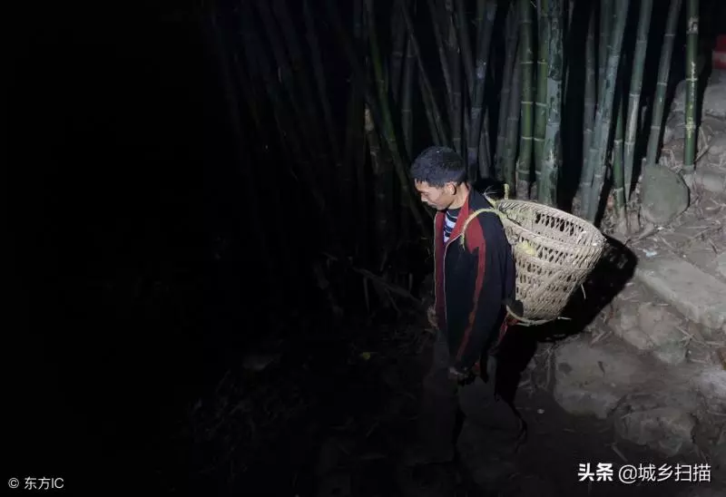 農民撿到4隻「稀罕物」,放家裡當寵物養,養了3天發覺很不對勁,嚇得趕緊送走!