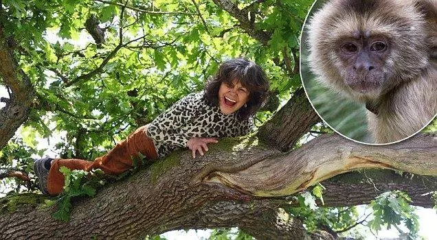 5歲女童被遺棄深山,猿猴收養了她,24年後生下兩個女兒!