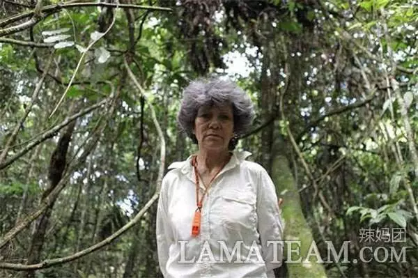 5歲女童被遺棄深山,猿猴收養了她,24年後生下兩個女兒!