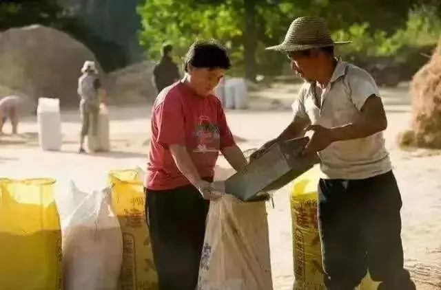 我偷賣妻子首飾給嫂子交住院費,她要離婚,後來妻子給嫂子8萬元