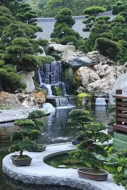 一園一景,安心喝茶玩盆景