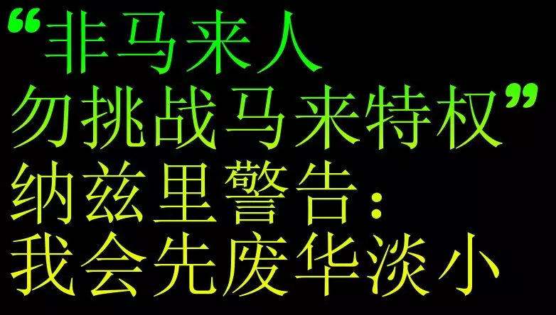 「非馬來人勿挑戰馬來特權」 納茲里警告：我會先廢華淡小