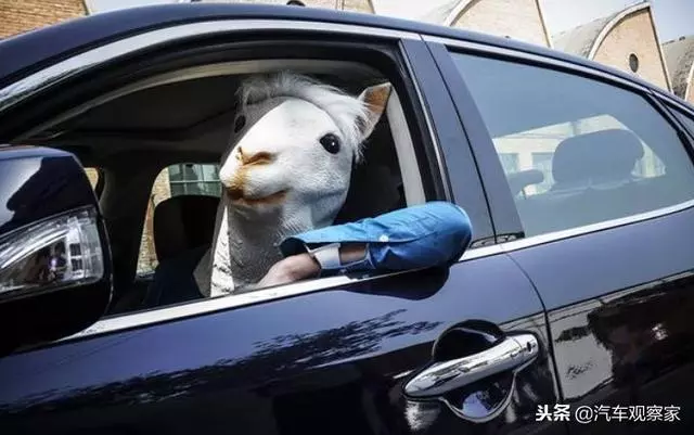 在車內睡一晚,門窗關閉,會有危險性嗎?