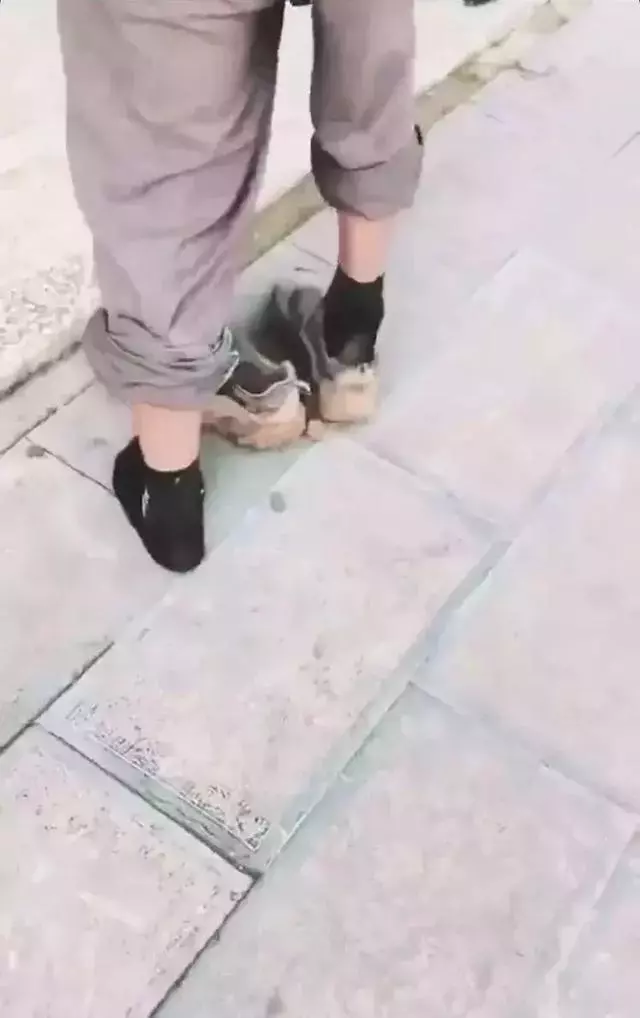 父母的教養,就是孩子的起跑線,能這樣做的媽媽,怎麼會教出熊孩子?