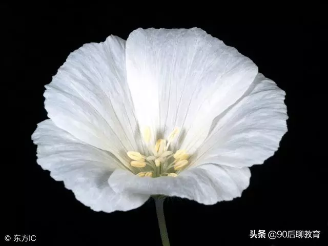 爭的是理,輸的是情,傷的是自己!