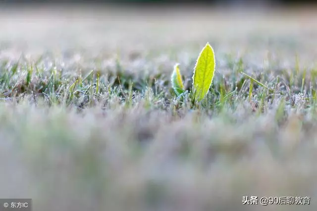 爭的是理,輸的是情,傷的是自己!
