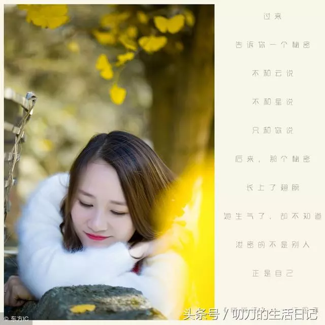 生活的路上,不如意十之八九