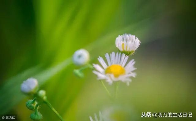 生活的路上,不如意十之八九