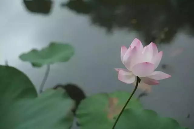 兩個和尚的對話(深度好文!)