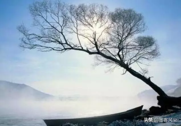 大智若愚之人常有的三個表現,每一個都是智慧