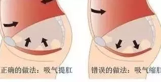 清晨起床做這八個動作,可以有效養生