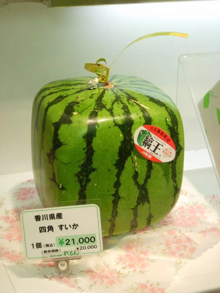 簡直是另一個星球! 13個證明日本「快了世界100年」的神奇發明