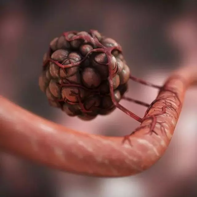 你見過煮熟的企鵝蛋嗎?盤點常見生物不為人知的真相