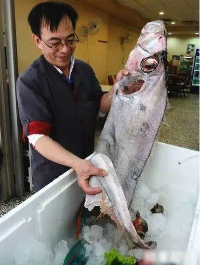 男子抓到一條奇怪的大魚,發往朋友圈,卻導致一些人搬家了 !