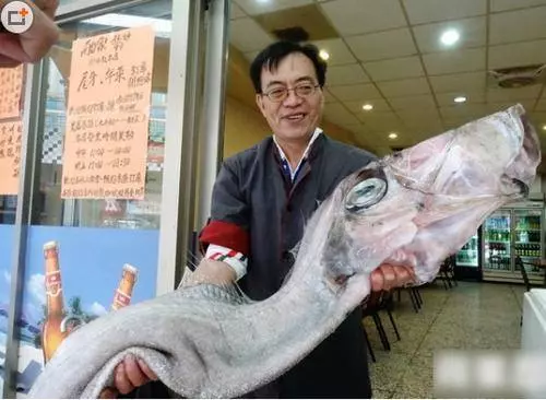 男子抓到一條奇怪的大魚,發往朋友圈,卻導致一些人搬家了 !