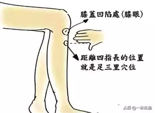 常揉人體七大黃金穴位關元、足三里、膻中、湧泉、合谷、風池