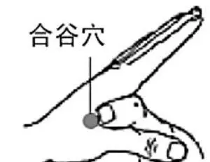 常揉人體七大黃金穴位關元、足三里、膻中、湧泉、合谷、風池
