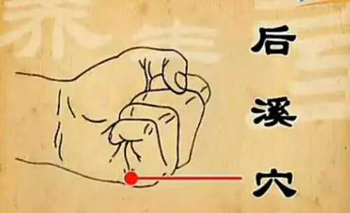 【每日一穴:後溪穴】