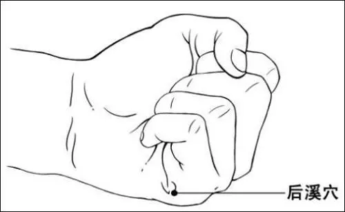 【每日一穴:後溪穴】