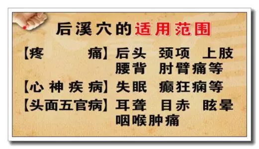 【每日一穴:後溪穴】