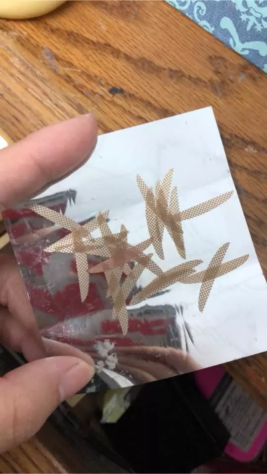 以為有喇牙!女友房間驚見「放射狀多腳肉蟲」嚇壞 靠近一看「異形真面目」網推爆:女生才懂的苦 !