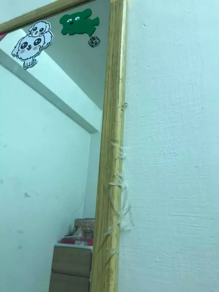 以為有喇牙!女友房間驚見「放射狀多腳肉蟲」嚇壞 靠近一看「異形真面目」網推爆:女生才懂的苦 !
