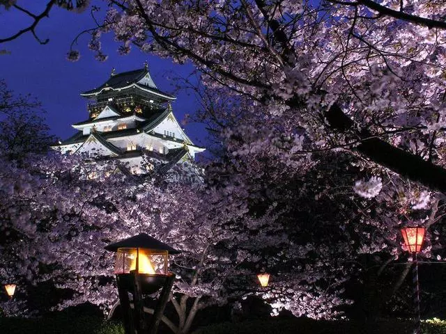 日本賞櫻旅遊線漸熱,3月底機票酒店價格上漲!