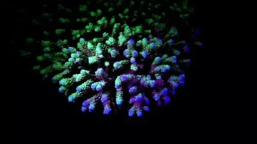 你見過煮熟的企鵝蛋嗎?盤點常見生物不為人知的真相!