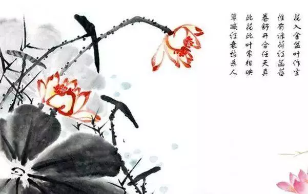 2月26號起吉星伴身,橫財大獎發不停,添丁又添財的5大生肖!