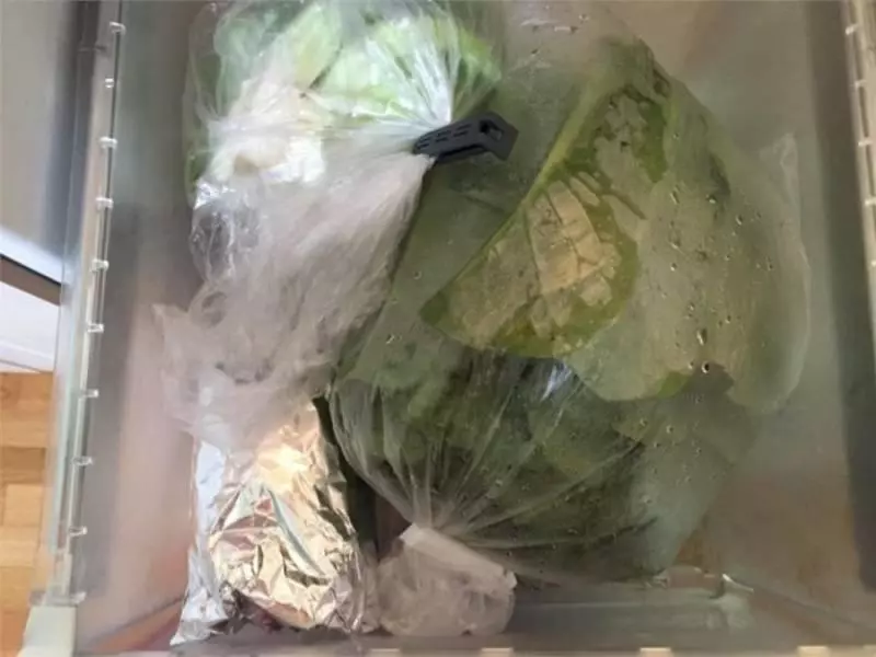 注意!大馬人不要再把塑料袋放進冰箱了!原來隱患這麼多