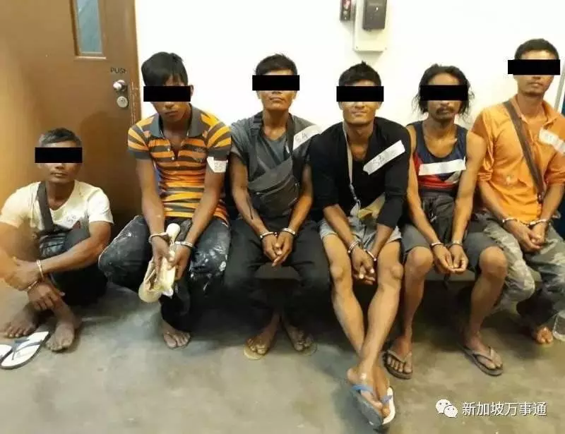 1小時50新元的工資,一群人在新加坡爭著「挖墳」!