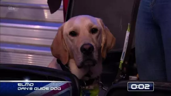 有你就不怕!視障男挑戰「極限體能王」導盲犬在旁為他加油!最後結局讓人想哭QAQ