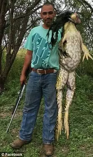 美國男子獵到重達6公斤的「巨大牛蛙」被質疑P圖,官員跳出來幫澄清是真的!